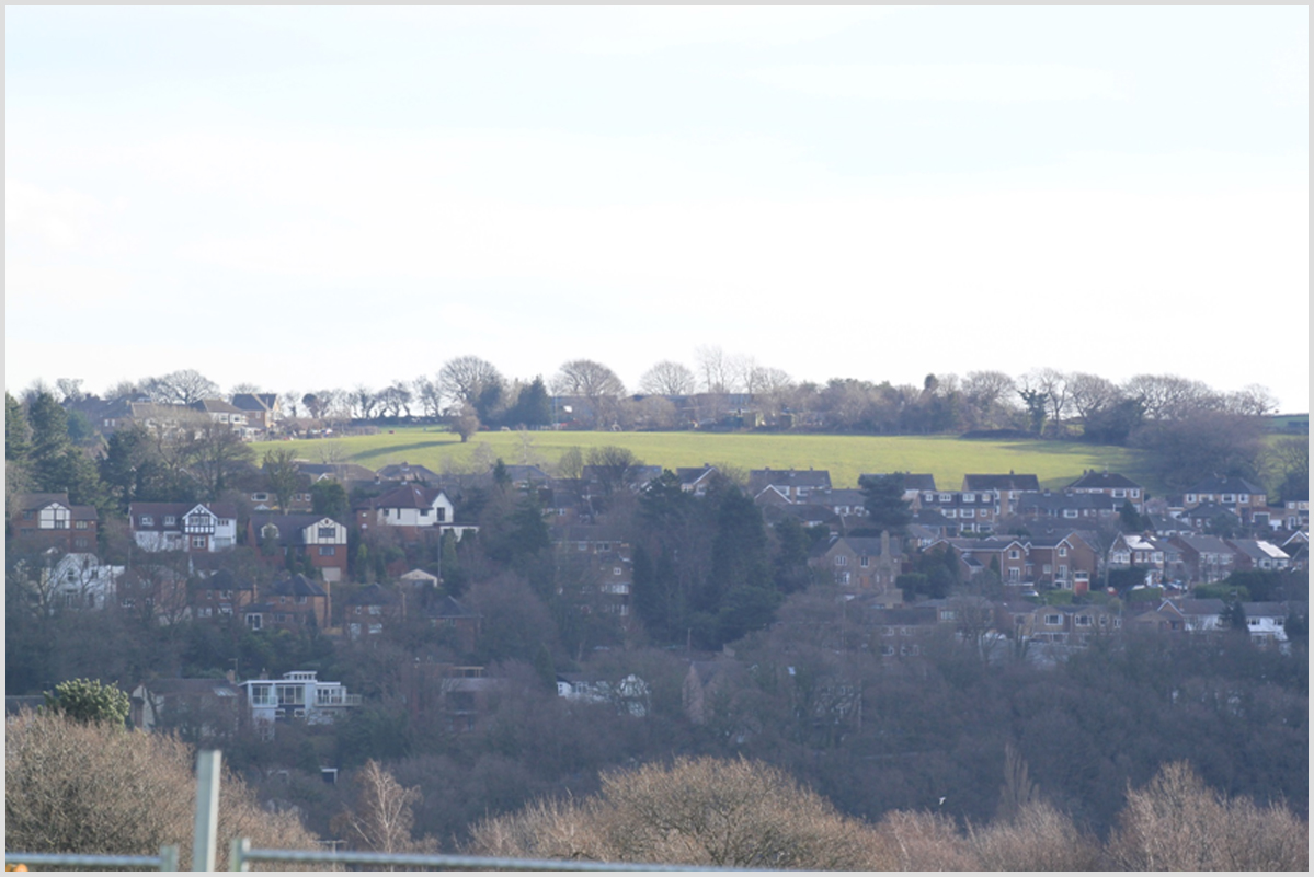 View point D1 (photo C7422) - altitude 175m - from public footpath above the Wyvern Grange residential development off Furniss Ave.